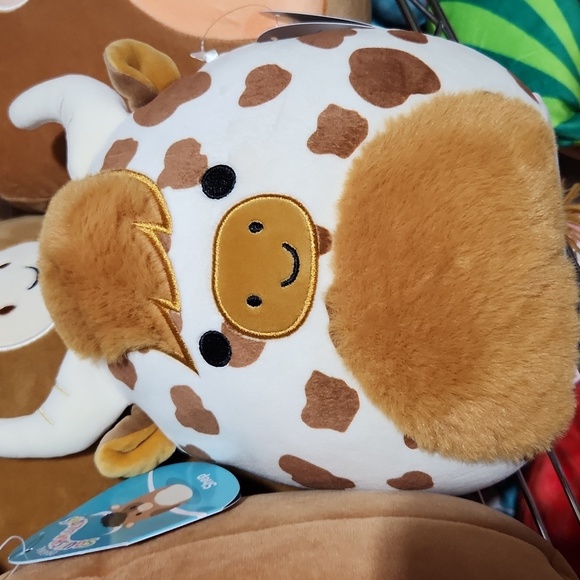 Alonzo the Longhorn Cow Squishmallow 8 ih